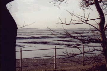 Blick vom Alten Kurhaus in Dangast auf das Wattenmeer des Jadebusen bei Ebbe
